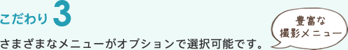 さまざまなメニューがオプションで選択可能です。